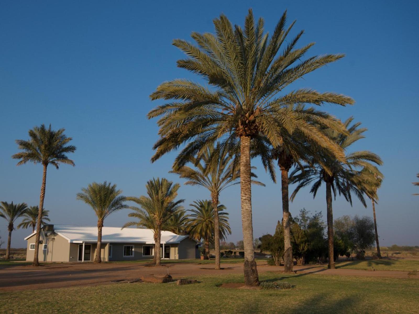 Flying Ostrich Guesthouse & Self-Catering Accommodation Mariental Exterior foto