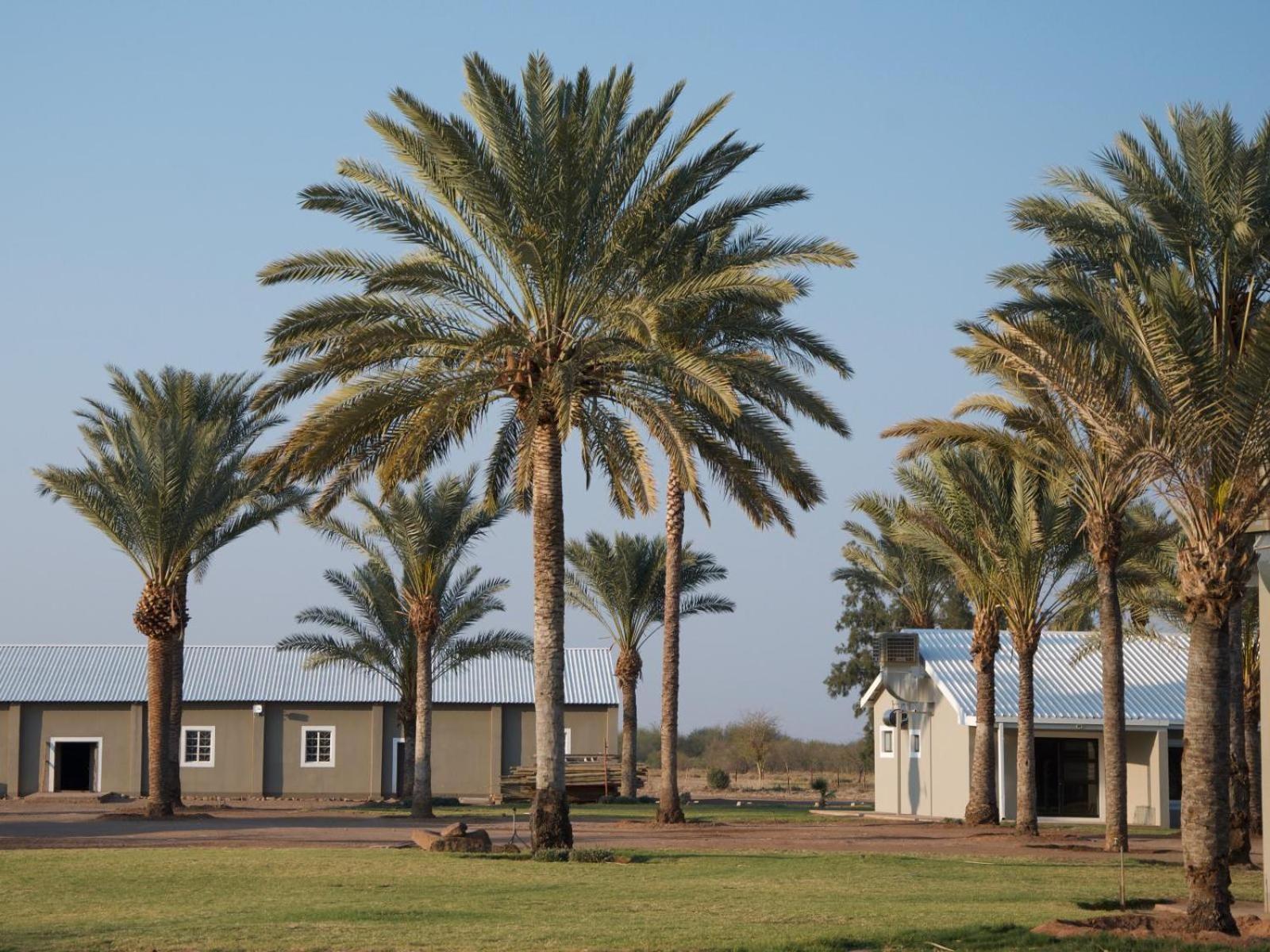 Flying Ostrich Guesthouse & Self-Catering Accommodation Mariental Exterior foto